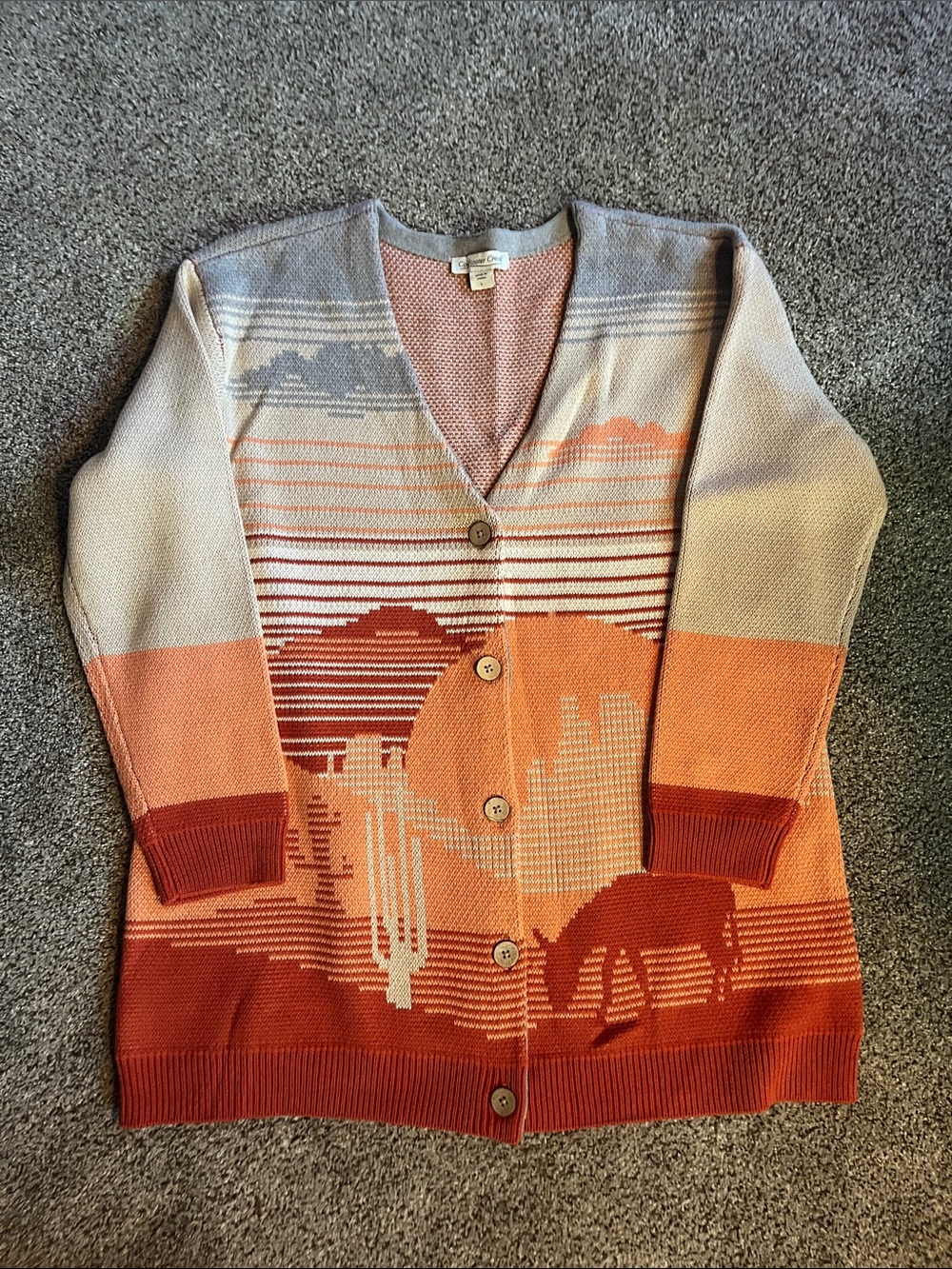 Cold Creek Desert Sunset Landscape Knit Cardigan Sweater Size L